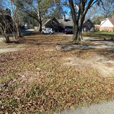 leaf-clean-up-in-prairieville-la 2