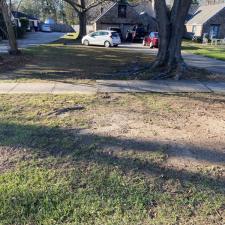 leaf-clean-up-in-prairieville-la 3